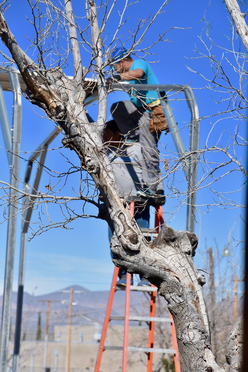 Ladder to sholder to top